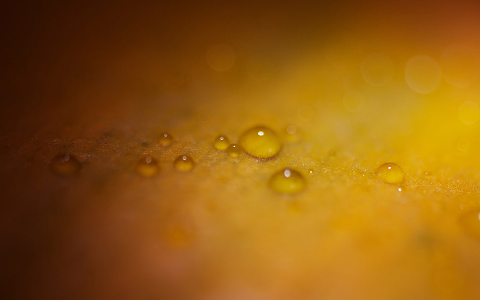 Surface,   light,  Drops  HD wallpaper